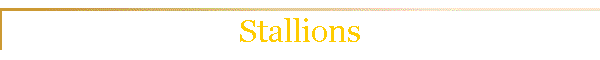 Stallions