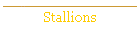 Stallions