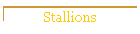 Stallions