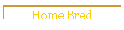 Home Bred
